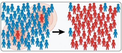Защита от пандемии: как снижение коллективного иммунитета влияет на здоровье общества 02 Защита от пандемии: как снижение коллективного иммунитета влияет на здоровье общества 02