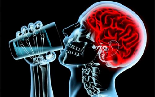 Влияние алкоголя на мозг. Как влияет спиртное на головной мозг