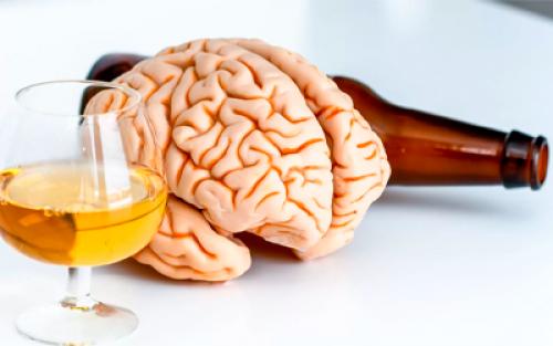 Влияние алкоголя на память. Почему пропадает память при алкозависимости