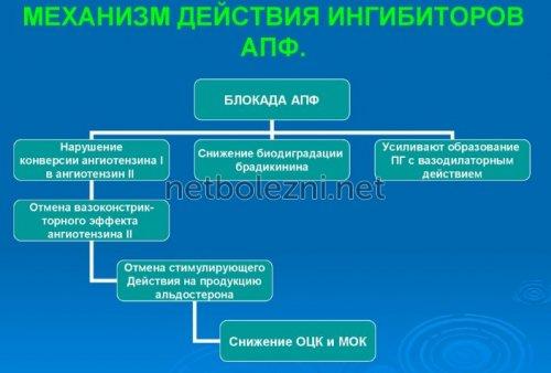 Таблетки от высокого давления на каждый день. Когда проводят гипотензивную терапию? 01 Таблетки от высокого давления на каждый день. Когда проводят гипотензивную терапию? 01