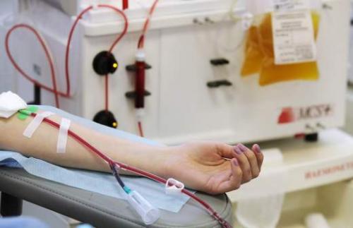 Защитный экран от коронавируса: как это работает и почему он важен 07 Защитный экран от коронавируса: как это работает и почему он важен 07