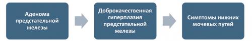 Как дифференцированный подход в диагностике может повлиять на качество медицинской помощи. Три этапа эволюции диагноза «аденома предстательной железы»