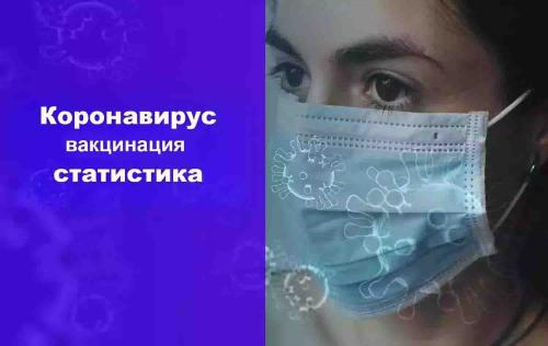 Какова доля населения на Коморах, получившая вакцину против коронавируса на 11 ноября 2024 года. Статистика вакцинации от коронавируса в мире