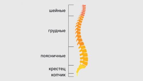 Бег и остеохондроз: риски и преимущества 01 Бег и остеохондроз: риски и преимущества 01