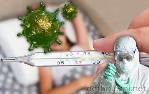 Легкая форма коронавируса: что это и как ее отличить от более тяжелых форм 04 Легкая форма коронавируса: что это и как ее отличить от более тяжелых форм 04