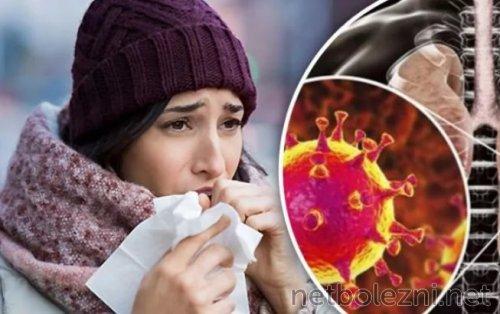 Легкая форма коронавируса: что это и как ее отличить от более тяжелых форм 05 Легкая форма коронавируса: что это и как ее отличить от более тяжелых форм 05