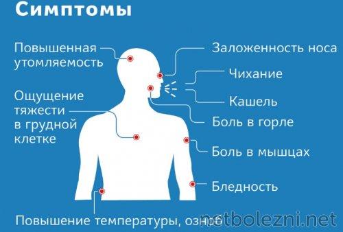 Легкая форма коронавируса: что это и как ее отличить от более тяжелых форм 06 Легкая форма коронавируса: что это и как ее отличить от более тяжелых форм 06