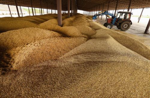 Недружественные страны казахстан. Все новости »