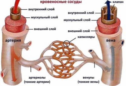 Как Понять, что Сосуды Головы Не в Порядке. Вопрос-ответ: 04 Как Понять, что Сосуды Головы Не в Порядке. Вопрос-ответ: 04