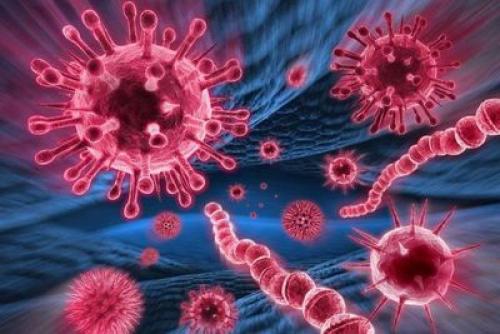 Сосудистые заболевания нервной системы. Как распознать сосудистые заболевания нервной системы? 01