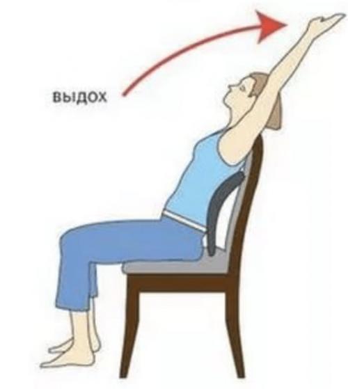 Упражнения при остеохондрозе грудного отдела. Тренировочные упражнения