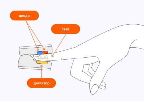 Как лучшие медицинские пульсоксиметры 2025 могут помочь врачам и пациентам. На чем основан метод пульсоксиметрии
