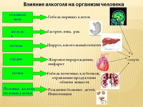 10 самых страшных последствий злоупотребления алкоголя. Как алкоголь влияет на организм: 10 страшных последствий злоупотребления спиртным 04 10 самых страшных последствий злоупотребления алкоголя. Как алкоголь влияет на организм: 10 страшных последствий злоупотребления спиртным 04
