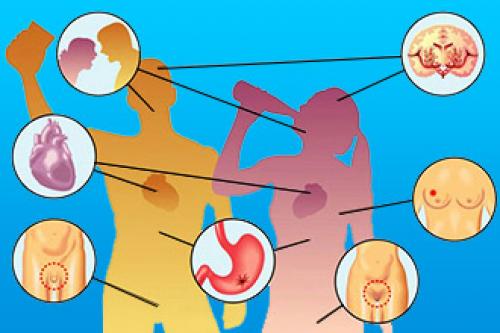 Влияние алкоголя на нервную систему человека. Влияние алкоголя на мозг и нервную систему 05