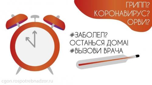 Как лечить грипп в период пандемии COVID-19