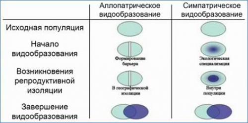 Как формируются новые виды. Аллопатрическое и симпатрическое видообразование