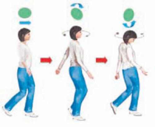 Комплекс упражнений при головокружении от профессионаолов. Вестибулярная гимнастика. Как справиться с головокружением