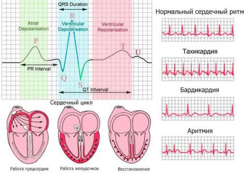 Обезболивание при инфаркте миокарда. Ведение больных на догоспитальном этапе 01 Обезболивание при инфаркте миокарда. Ведение больных на догоспитальном этапе 01