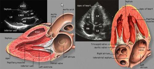 Обезболивание при инфаркте миокарда. Ведение больных на догоспитальном этапе 02 Обезболивание при инфаркте миокарда. Ведение больных на догоспитальном этапе 02