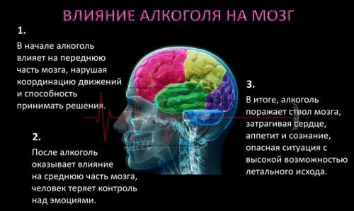 Восстанавливается ли мозг после алкоголя. Мозг после алкоголя - разновидности полученных повреждений