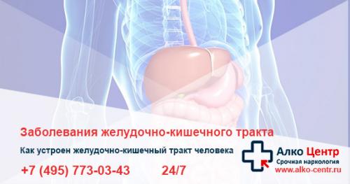 Через сколько восстанавливается мозг после запоя. Что делать после длительного запоя: восстановление