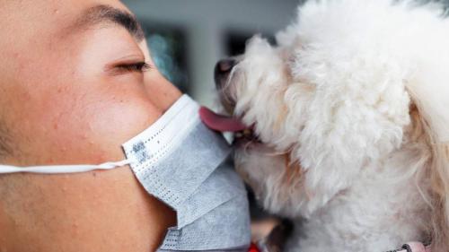 От коронавируса чаще всего: самые распространенные симптомы COVID-19 01 От коронавируса чаще всего: самые распространенные симптомы COVID-19 01