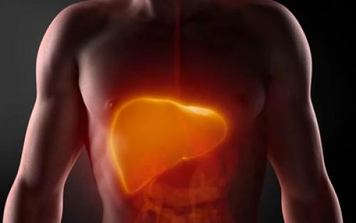 Как алкоголь влияет на организм человека. Что такое алкоголь? 02 Как алкоголь влияет на организм человека. Что такое алкоголь? 02