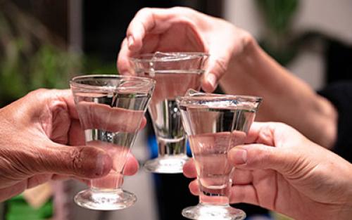 Влияние алкоголя на пищеварительную систему. Какой алкоголь не повышает кислотность желудка