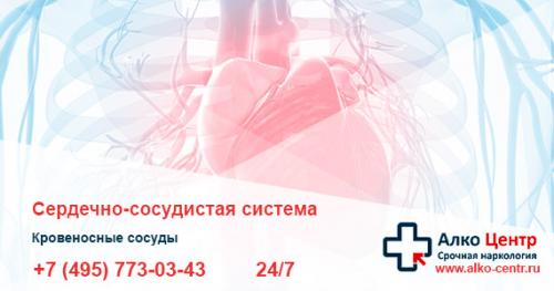 Через сколько восстанавливается нервная система после алкоголя. Что делать после длительного запоя: восстановление