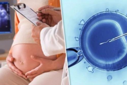 Почему тошнит утром после алкоголя. Причины рвоты после алкоголя 02