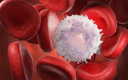 Влияние алкоголя на психику. Как алкоголь влияет на нервную систему