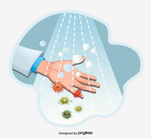 Как защитить себя и близких: 7 эффективных шагов по профилактике коронавируса 12 Как защитить себя и близких: 7 эффективных шагов по профилактике коронавируса 12