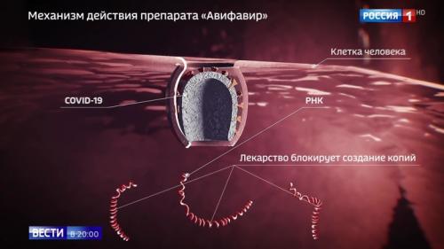 Какова вероятность успешного лечения заболевших COVID-19 с помощью российского препарата. В России выпущен первый и самый мощный препарат от COVID-19