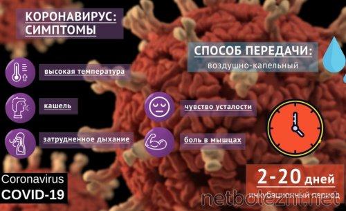 Возможна ли передача коронавируса от уже выздоровевшего человека 03