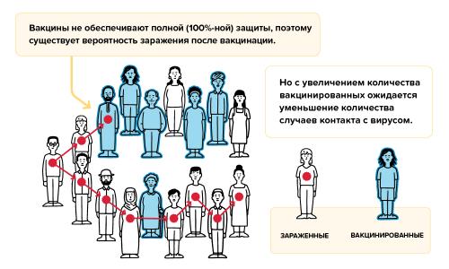 Исследование: почему биологи считают двухкомпонентные вакцины неэффективными 02 Исследование: почему биологи считают двухкомпонентные вакцины неэффективными 02