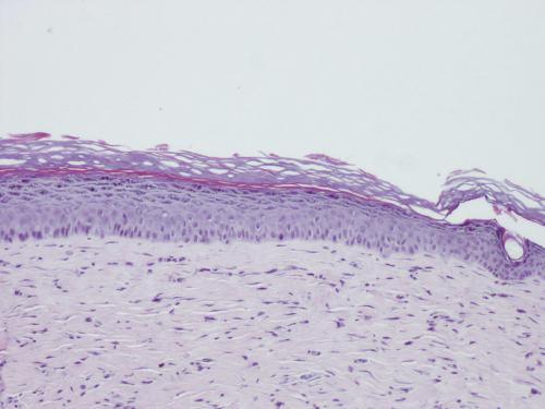 Какие научные достижения были достигнуты в борьбе с COVID-19. Стволовые клетки и медицина