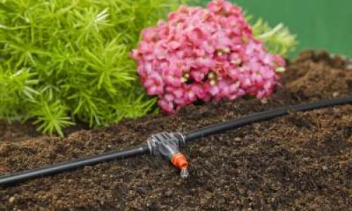 Капельный полив, что нужно. Капельный