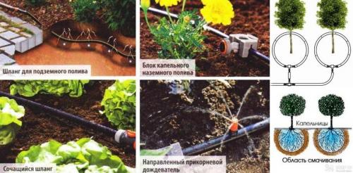 Что нужно знать про систему капельного полива. Отличительные признаки КП в теплице 06