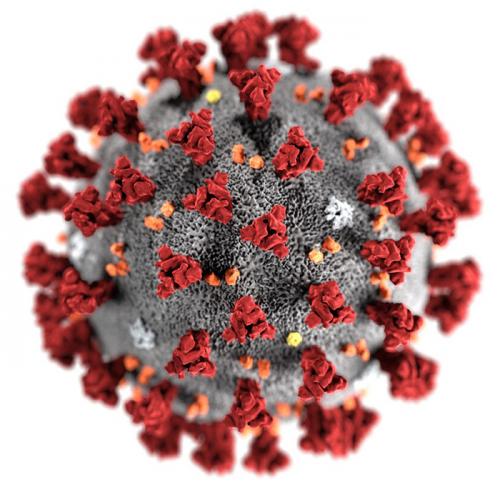 Важно знать: как отличить симптомы коронавируса от обычной простуды 02 Важно знать: как отличить симптомы коронавируса от обычной простуды 02