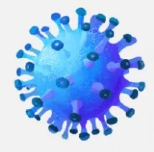 Какие группы населения нуждаются в особой защите от гриппа в современных условиях. Виды профилактики гриппа и ОРВИ