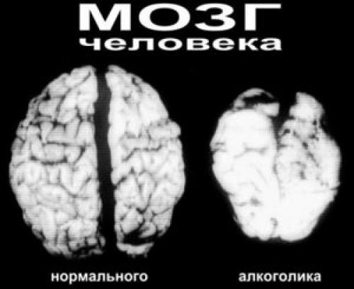 Алкоголь доклад по обж. Влияние алкоголя на здоровье человека