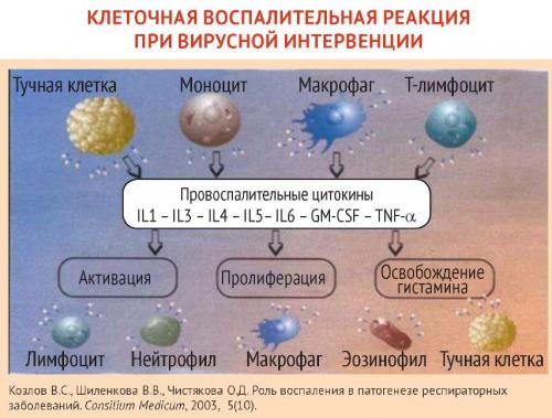 Противовирусные препараты с доказанной эффективностью. Грипп в современных условиях: Противовирусная терапия прямого действия
