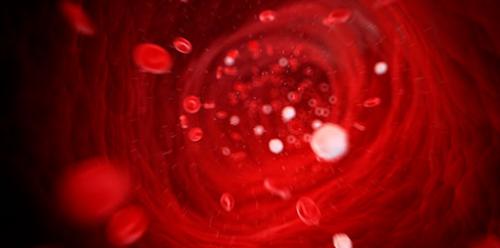 Сколько выводится алкоголь из организма. Сколько алкоголь держится в крови? 01