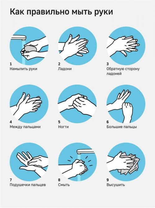Как правильно вести себя в общественных местах во время эпидемии. Как правильно вести себя в условиях эпидемии (пандемии)?