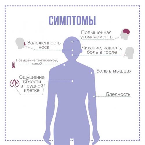Как правильно вести себя в общественных местах во время эпидемии. Как правильно вести себя в условиях эпидемии (пандемии)?
