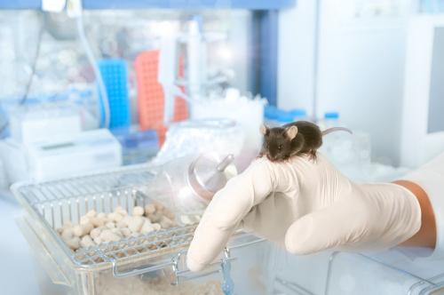 Ученые обнаружили эффективное лекарство от коронавируса: что это за препарат 02 Ученые обнаружили эффективное лекарство от коронавируса: что это за препарат 02