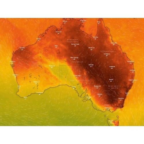 Вот такая жесть сейчас в Австралии творится. 06