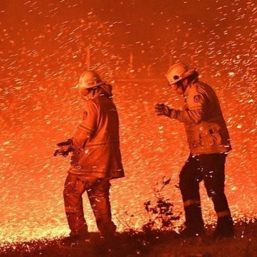 Вот такая жесть сейчас в Австралии творится. 03