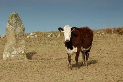 Как люди поклонялись 