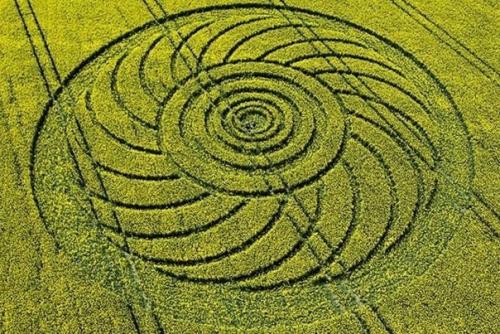 Брошюра из 1678 года по-своему объясняет появление кругов на полях. 03